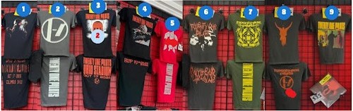 Twenty one pilots band - one,