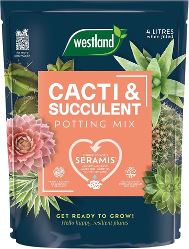 Westland cacti succulent - cacti, &