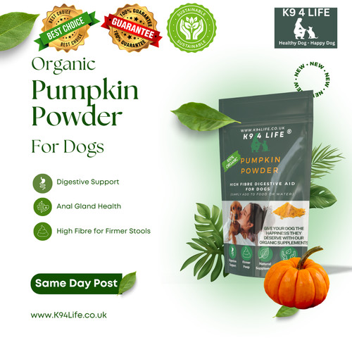 Pumpkin powder high fibre - pumpkin,